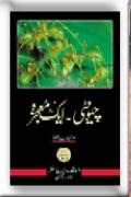 Chunti Ant Aik Mojza