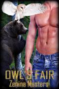Owl s Fair