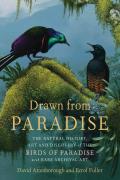 Read ebook : Drawn_from_Paradise.pdf