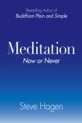 Read ebook : MEDITATION_Now_or_Never.pdf