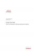 Read ebook : Oracle_Fast_Data.pdf