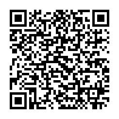 QR Code to download free ebook : 1620695370-Noble_Dynasties_-_The_History_of_Nur_Ad-Din_and_Saladin.pdf.html