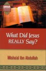 Read ebook : what_did_jesus_really_say.pdf